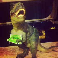 pr1ps:  Ridiculously photogenic t-rex (Taken