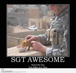 funnyshitmayne:  Sergeant Awesome Follow this blog for the best new funny pictures every day 