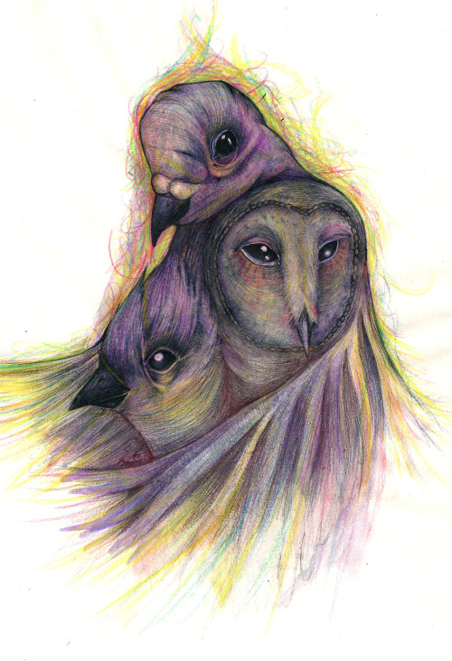 eatsleepdraw:  birdbirdbirdbirdbirdsapalooza