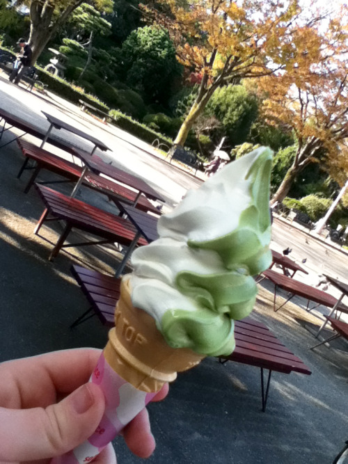 My wife’s Vanilla and Green Tea swirl ice cream cone.  I went with straight chocolate.  Vendor