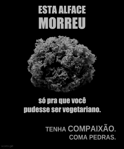 A culpa é das estrelas.