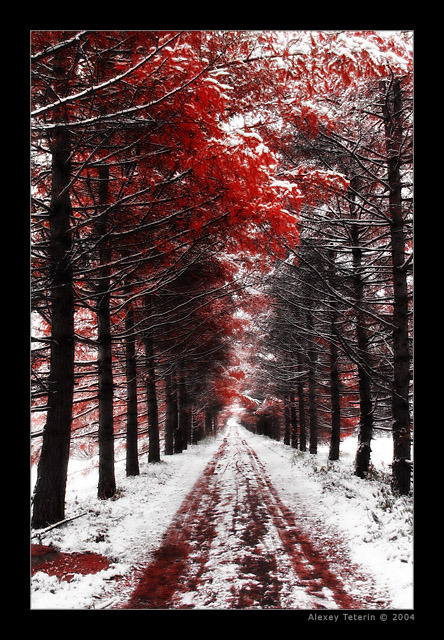 dinosaurs-and-spoons:  Bloody Autumn by ~Frider 