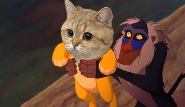 i cant think of a good title