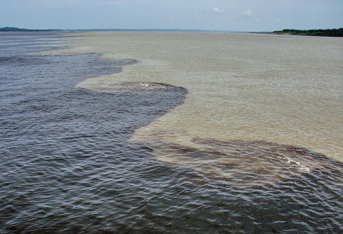 Encontro das Aguas, where Rio Negro meets Rio Solimoes, Amazon, Brazil (by Hesperia2007).