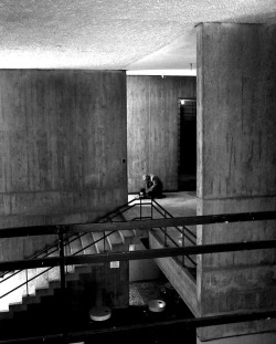 fiore-rosso:  ,brutalist solitude. 