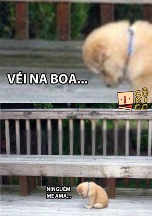 Eu sou intensa.