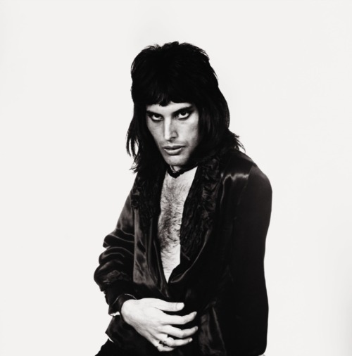 greypudding:Freddie Mercury.