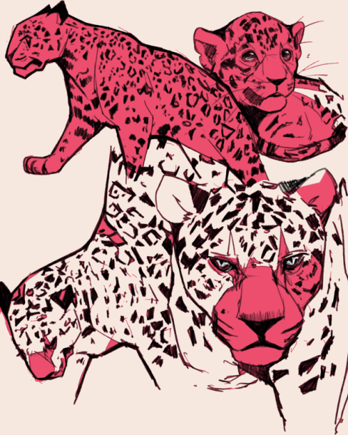 Porn Pics yummytomatoes:  I wanted to draw jaguars 