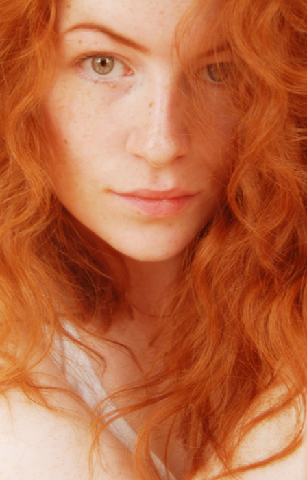 http://redbush.tumblr.com/post/21261686425