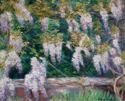 Poboh:  Wistarias At Giverny, Blanche Hoschede Monet. (Blanche Hoschede Monet Is