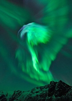 jarrodis:  Nordic Auroras 