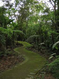 visitheworld:  Lankester Tropical Gardens in Valle de Orosi, Costa Rica (by Steveningen). 