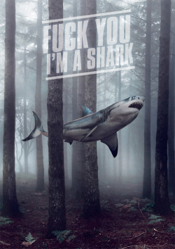 drunkoncola:  I was trying to go to cplsharkos personal blog but i typed in the shark blog and then i lost it when  this picture loaded omg  I forgot I posted this xD