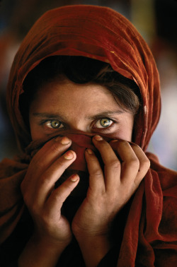 k-a-t-i-e-:  Afghan Girl Peshawar, Pakistan