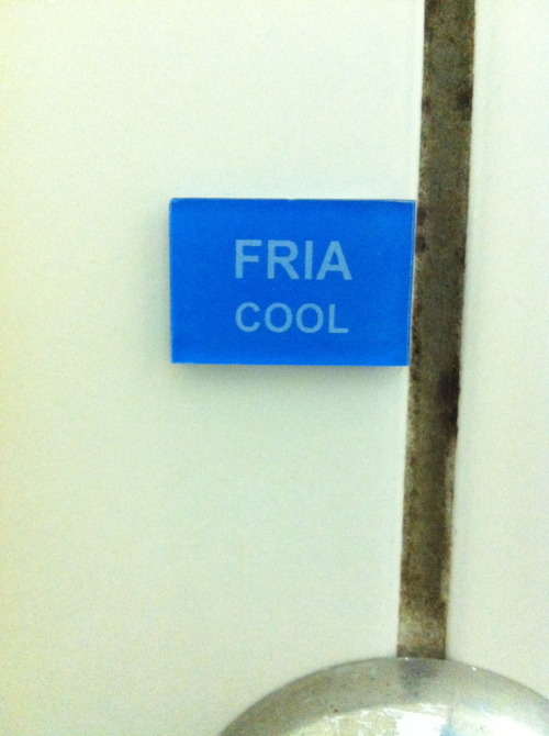 todo mundo sendo cool