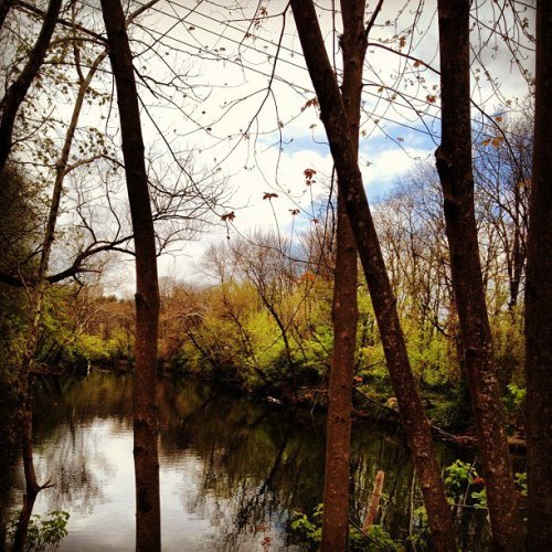 White Clay Creek, Newark, DE. April 2012.