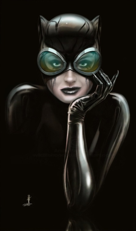 unknownskywalker:  Selina Kyle by Andy Fairhurst 