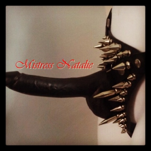 mistressnatalie:  My spiked strapon by Assaad Awa. Mistress Natalie. Wanda Studios.