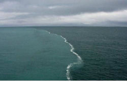 elegantbuffalo:  Skagen is the northernmost point of Denmark, where the Baltic and North Seas meet. The two opposing tides in this place can not merge because they have different densities. 