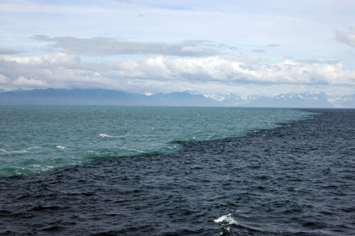  this is fascinating where two seas meet (Baltic and the North sea) and do not mix because of differing densities.  uglyuglyugly:  Skagen is the northernmost point of Denmark, where the Baltic and North Seas meet. The two opposing tides in this place