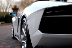 fuckyeahthebetterlife:  Aventador 