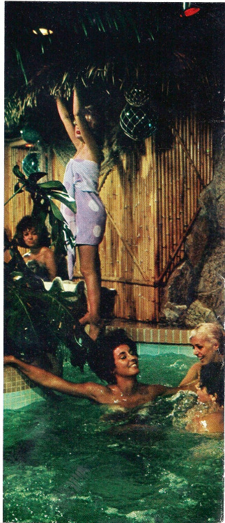 Playboy, January 1966, Pool Party adult photos