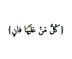 arabic-mind:  “Everyone upon the earth will perish” Ar-Rahman 55:26  