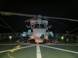 Giving The Bird A Check After A Hard Day At Sea.