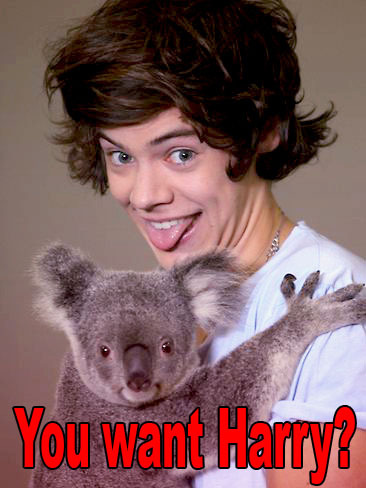foodirection:   okay.. 