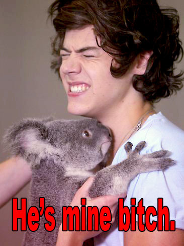 foodirection:   okay.. 