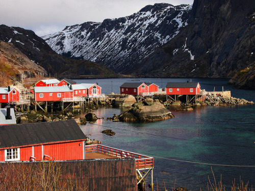 scandinavia-mania:Nusfjord-Fishing Village-Lofoten Islands-Norway by mikemellinger on Flickr.