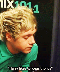 weheartoned:  Niall about the things we girls didn’t know “Cone of silence”