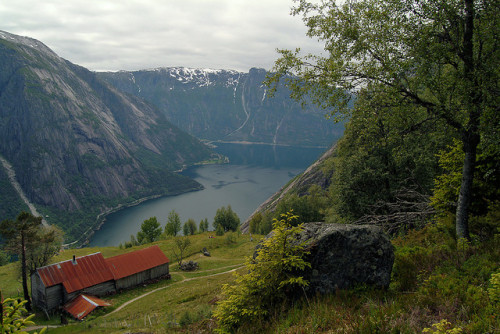 Eidfjord seen from Kjeåsen Farm, Norway (by saerdna73).