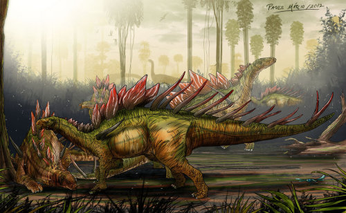 fuckyeahdinoart:Kentrosaurus by ~pauloomarcio