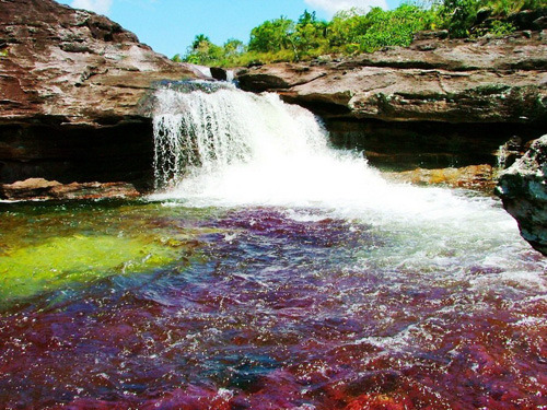oceannist:Caño Cristales is a Colombian river located in the Serrania de la Macarena, province of Me
