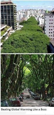 kaleakini:  In honor of Earth Day This is a street called “Rua Gonçalo Carvalho”, located in Porto Alegre, Brazil. In 2005, despite plans to cut some of the trees down in favour of a parking garage, local community and the Gonçalo de Carvalho organisation