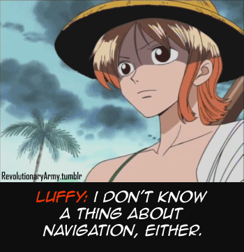 One Piece is out there!