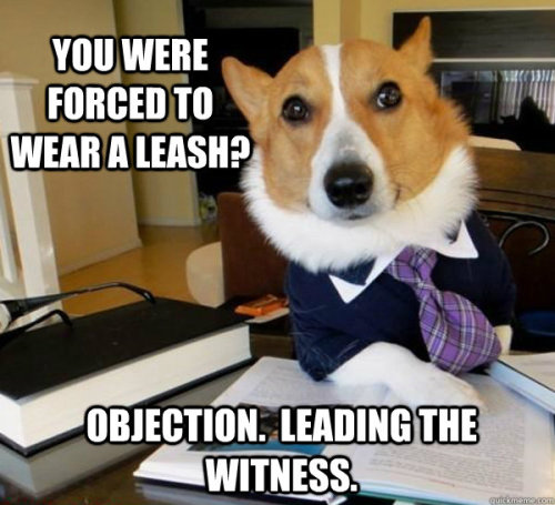 Porn Pics thedailymeme:  Lawyer Dog 