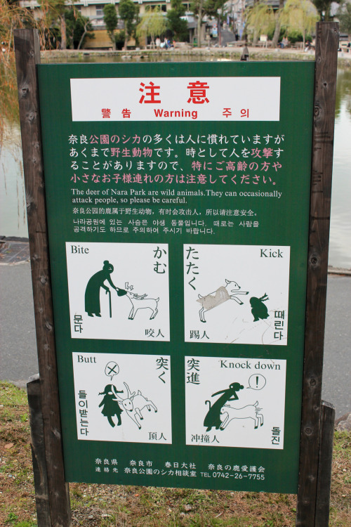 Warning sign spotted at the entrance to Nara Park.  I want to know what they covered up in the sign 