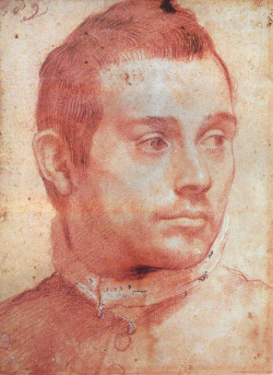 dalelazarov:  Portrait of a man by Annibale