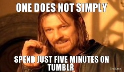 thelasttrainer:  One does not simply spend 5 minutes on Tumblr 
