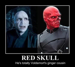 thegingerbook:  Even Voldemort has a ginger cousin!!!