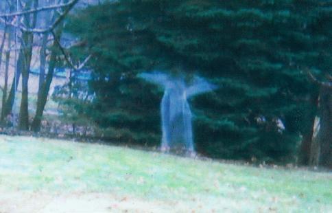 paranormaldaily:Angel apparition taken outside in a yard. [Source Unknown]