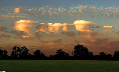 10 Very Rare Cloud Formations