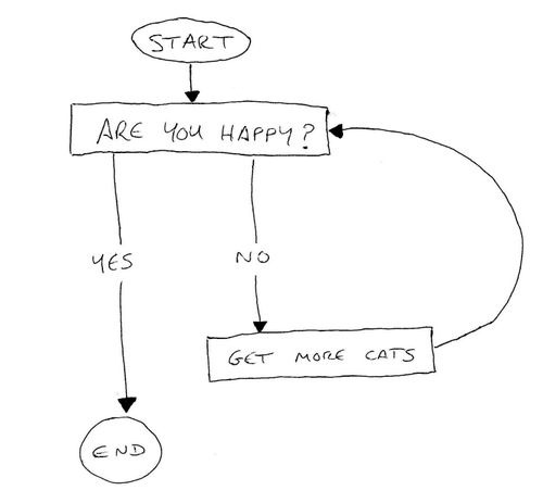 follow-haha-funny-lol:  Are you happy? Get more cats.