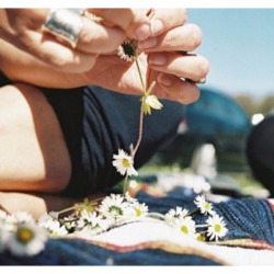 View-From-Up-Here:  I Love Everything About This Picture  Pretty Daisy Chains