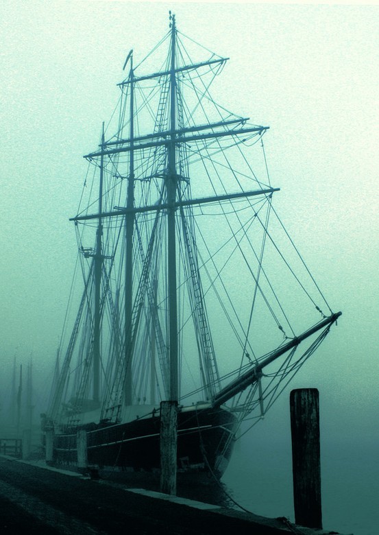 Aesthetic Voyageur