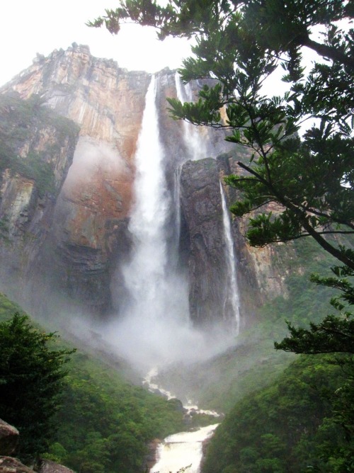     Angel Falls in Venezuela is the highest waterfall on earth. It has a main plunge of over 500 met