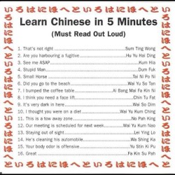 djpivotik:  Learn Chinese in 5 mins hahaha