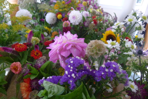 Wildflower wedding centerpieces: Zinnia, goldenrod, purple status, scabiosa pods, craspidia, white aster, and celosia.